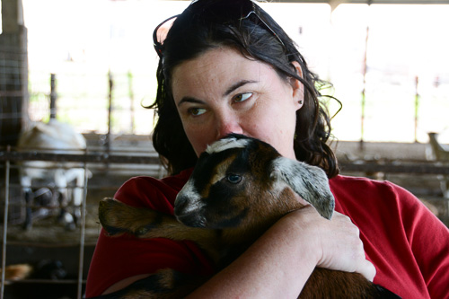 Never say, "No, I'm not going to hold a goat." Because this is what happens.